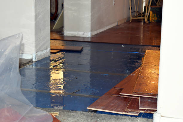 Professional Water Damage Restoration technician working in Riverside, ID